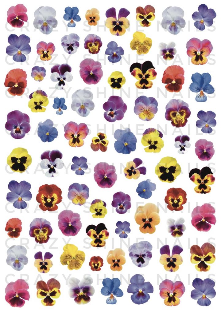 Sticker Flores Pensamientos - Mini - Crazy Shine Nails